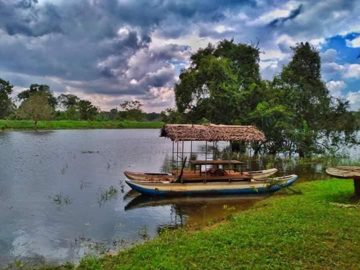 Elephant Safari Lodge Sigiriya Junction Habarana Esterno foto