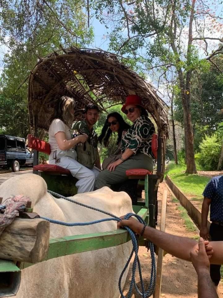 Elephant Safari Lodge Sigiriya Junction Habarana Esterno foto
