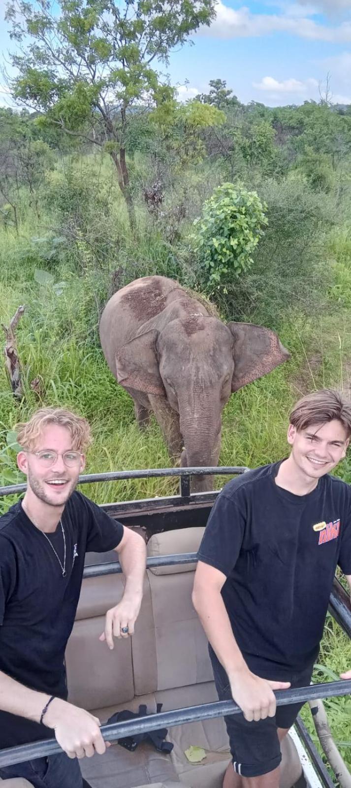 Elephant Safari Lodge Sigiriya Junction Habarana Esterno foto