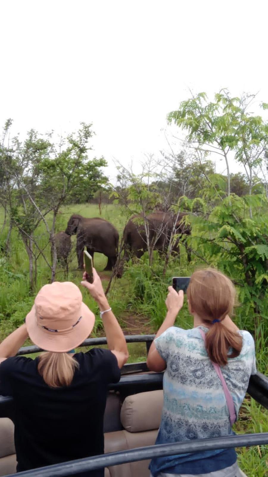 Elephant Safari Lodge Sigiriya Junction Habarana Esterno foto