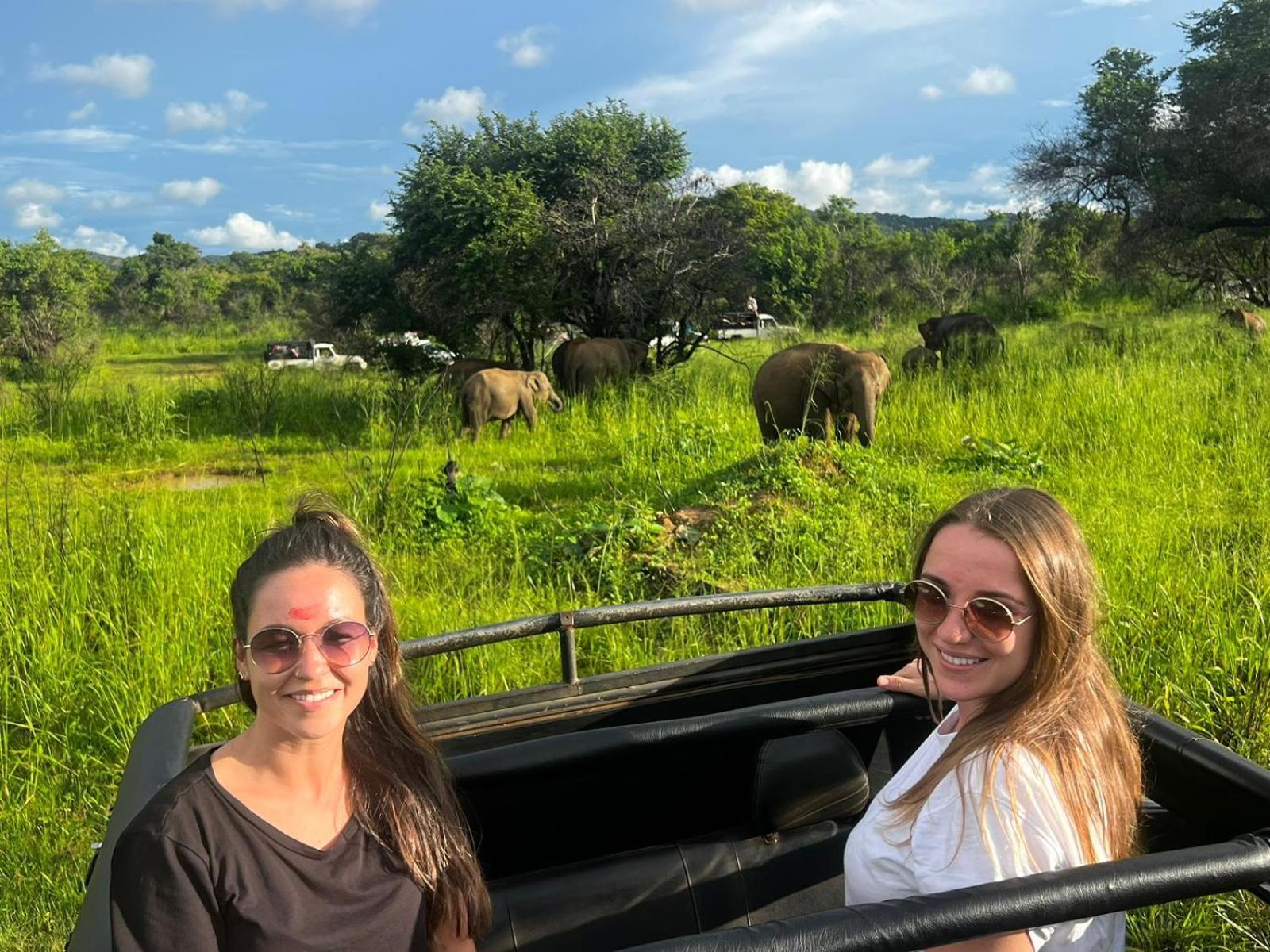 Elephant Safari Lodge Sigiriya Junction Habarana Esterno foto