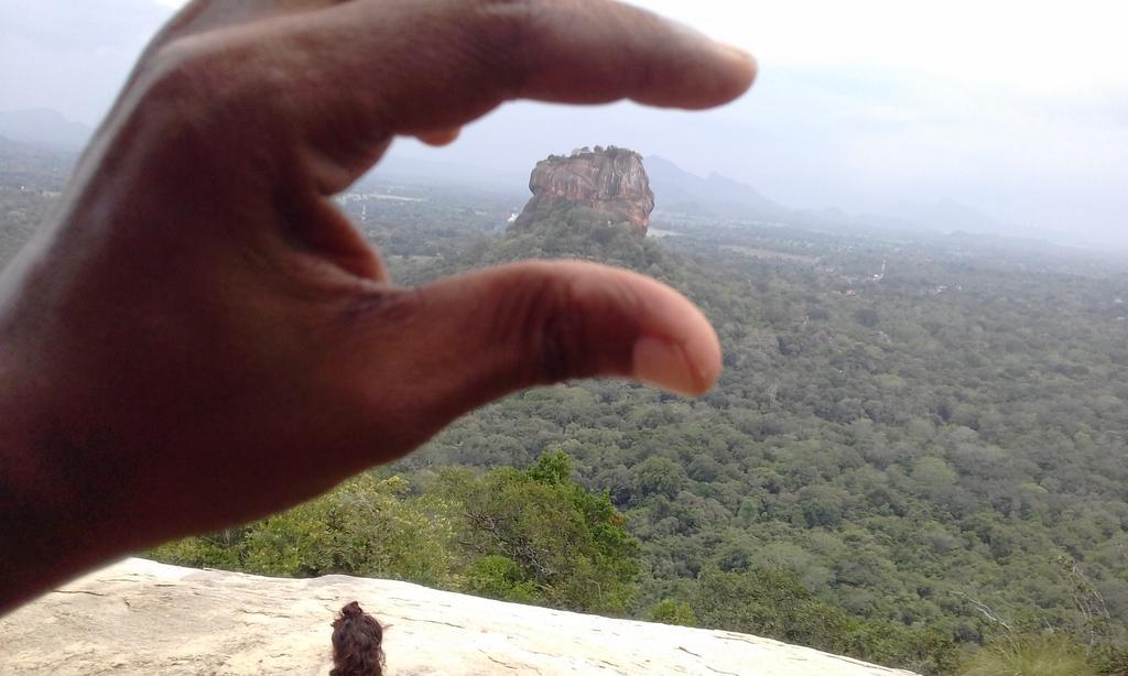 Elephant Safari Lodge Sigiriya Junction Habarana Esterno foto