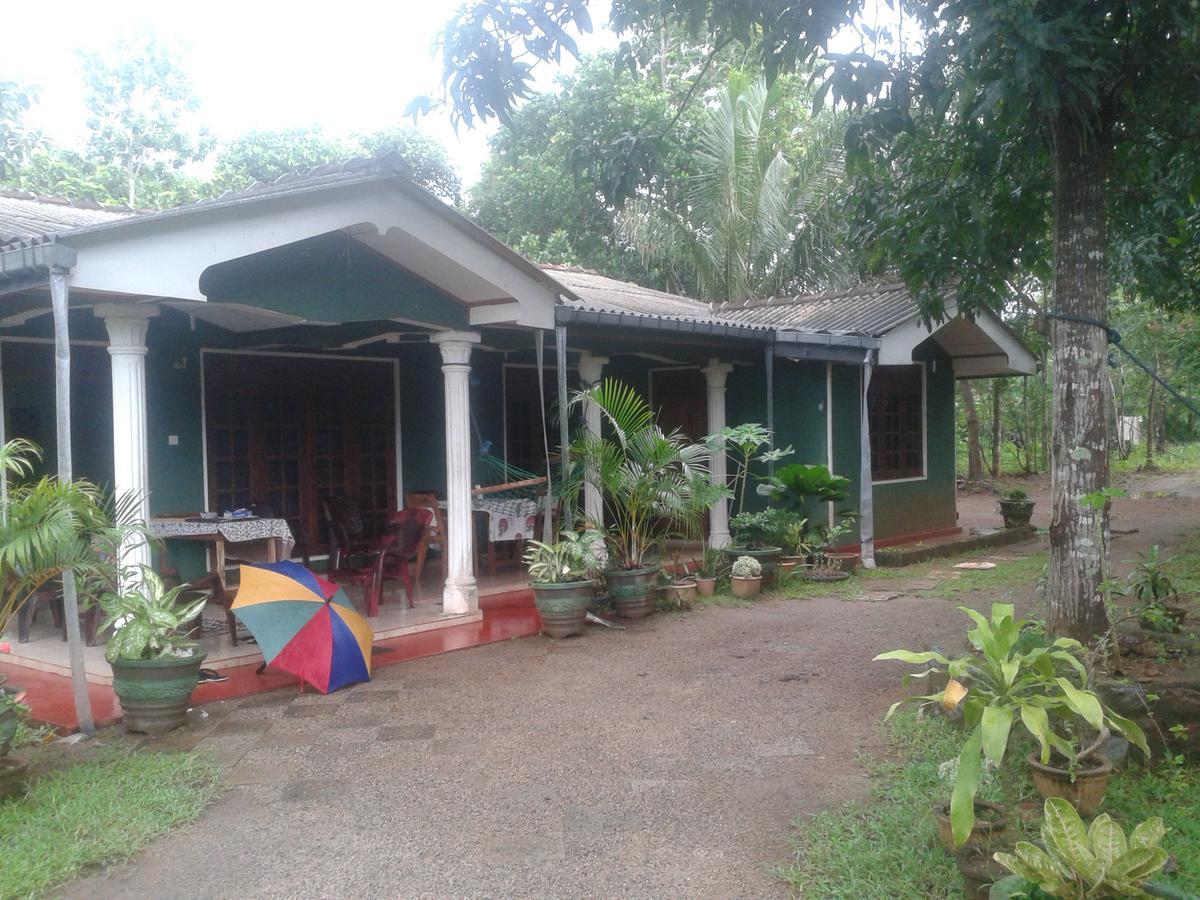 Elephant Safari Lodge Sigiriya Junction Habarana Esterno foto